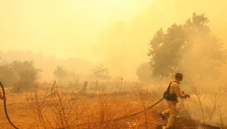 Çanakkale’de Orman Yangını