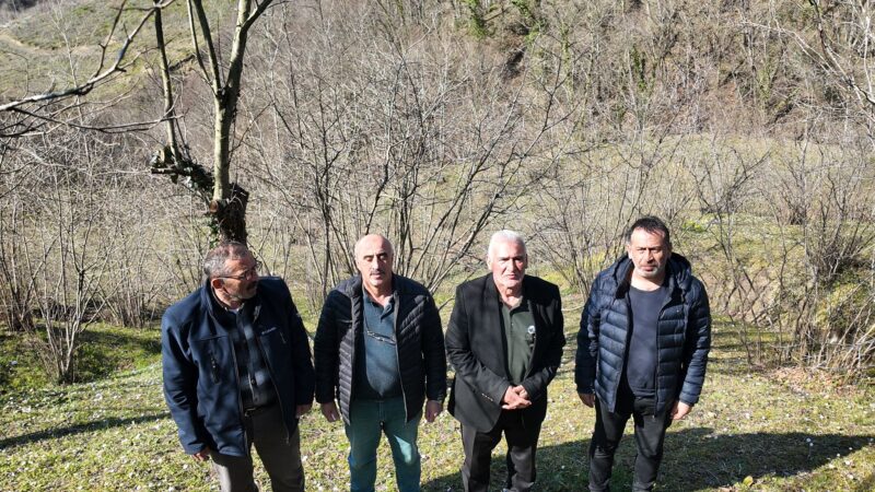Ayvacık Ziraat Odası Başkanı Erdal Avcı ve mühendislerin fındık bahçesindeki inceleme anı.