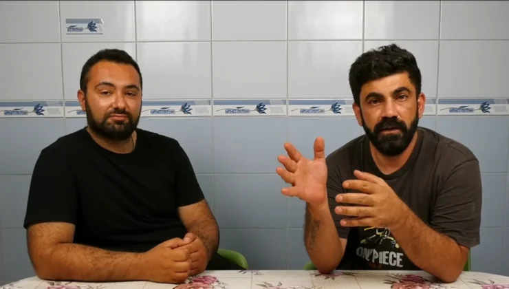 Hayvan Bakımevi’nde skandal iddialar: Ameliyathane mezbane gibi