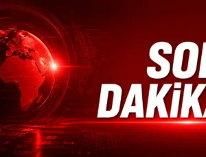 Samsun’da Ayva Ağacı Tartışması Kanlı Bitti: Gurbetçi Amcasını Vurdu