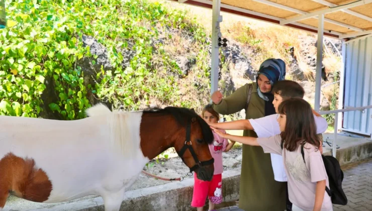 Otizmli Çocuklara Atlı Terapi: Samsun’da 413 Çocuk Binicilikle Tanışıyor