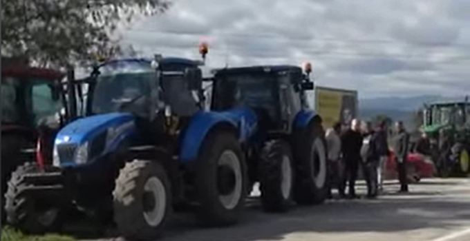 Bafra’da çeltik üreticilerinden 600 traktörlü eylem