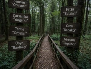 Samsun-Ordu-Giresun hattında unutulan lakaplar