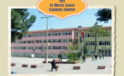 Samsun’un 100 Yıllık Çınarı İçin Yıkım Kararı