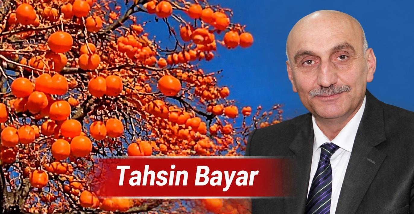 Trabzon hurması: İpek Yolu’ndan Anadolu sofralarına