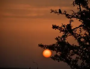 Kuş Cennetinde Sonbahar Göz Kamaştırıyor
